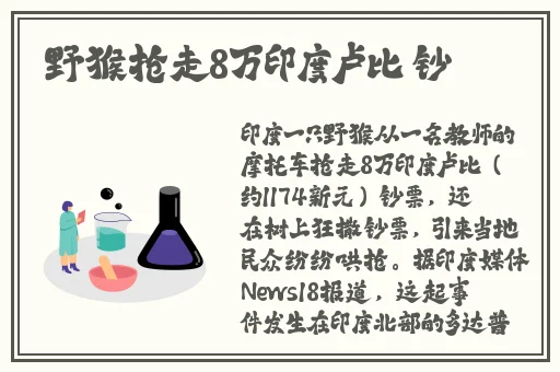 幼儿13000部