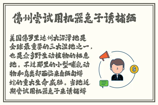 国产在线拍揄自揄拍无码福利
